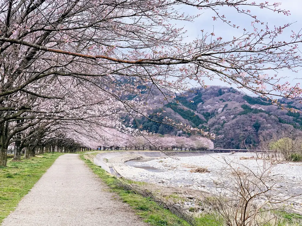 東京獨有體驗:富有特色的景點大公開!